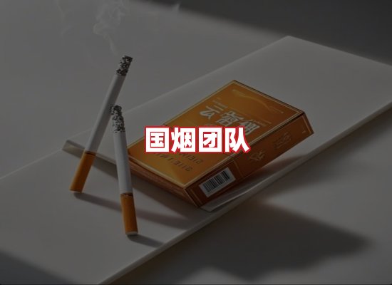 国烟团队